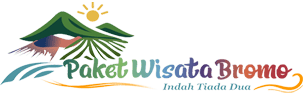 paketwisatabromo.com